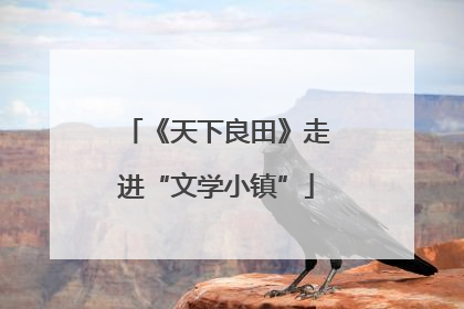 《天下良田》走进“文学小镇”