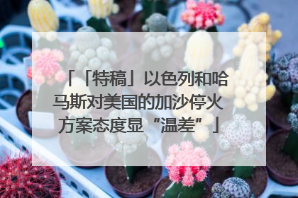 「特稿」以色列和哈马斯对美国的加沙停火方案态度显“温差”