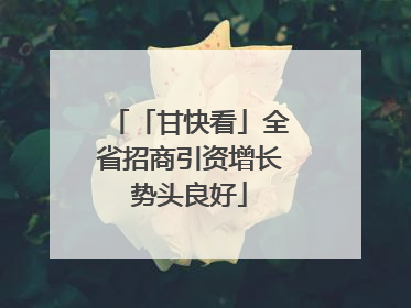 「甘快看」全省招商引资增长势头良好