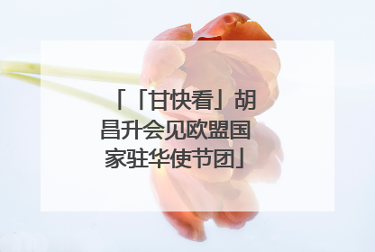 「甘快看」胡昌升会见欧盟国家驻华使节团