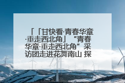 「甘快看·青春华章·重走西北角」“青春华章·重走西北角”采访团走进花舞南山 探寻天水乡村振兴之路