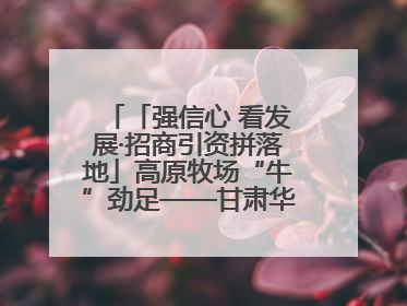 「强信心 看发展·招商引资拼落地」高原牧场“牛”劲足——甘肃华予高原牧场高标准奶牛肉牛养殖项目一线见闻