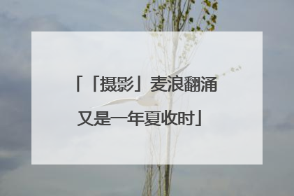 「摄影」麦浪翻涌 又是一年夏收时