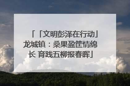 「文明彭泽在行动」龙城镇：桑果盈筐情绵长 育践五柳报春晖