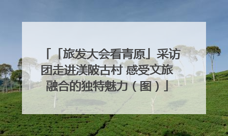 「旅发大会看青原」采访团走进渼陂古村 感受文旅融合的独特魅力（图）