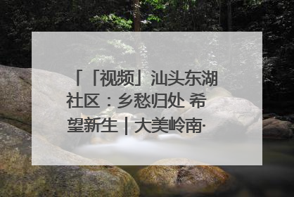 「视频」汕头东湖社区：乡愁归处 希望新生｜大美岭南·百村焕新记