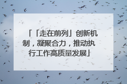「走在前列」创新机制，凝聚合力，推动执行工作高质量发展