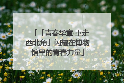 「青春华章·重走西北角」闪耀在博物馆里的青春力量