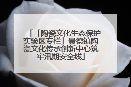 「陶瓷文化生态保护实验区专栏」景德镇陶瓷文化传承创新中心筑牢汛期安全线