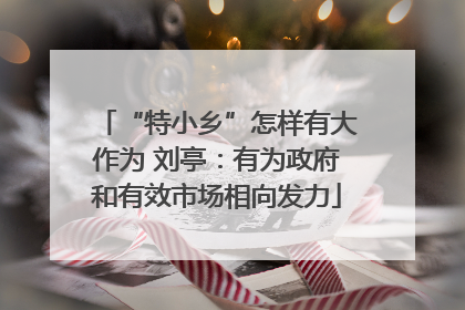 “特小乡”怎样有大作为 刘亭：有为政府和有效市场相向发力
