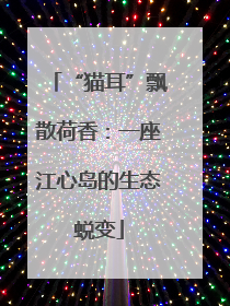 “猫耳”飘散荷香：一座江心岛的生态蜕变