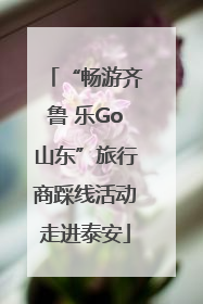 “畅游齐鲁 乐Go山东”旅行商踩线活动走进泰安