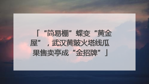 “简易棚”蝶变“黄金屋”，武汉黄陂火塔线瓜果售卖亭成“金招牌”