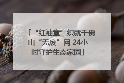 “红袖章”织就千佛山“无废”网 24小时守护生态家园