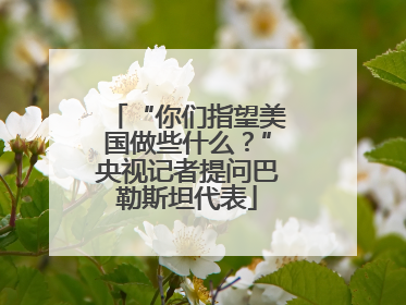 “你们指望美国做些什么？”央视记者提问巴勒斯坦代表