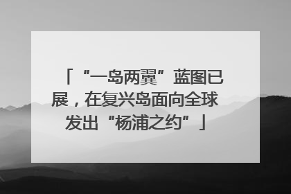 “一岛两翼”蓝图已展，在复兴岛面向全球发出“杨浦之约”