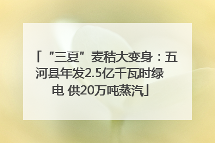 “三夏”麦秸大变身：五河县年发2.5亿千瓦时绿电 供20万吨蒸汽