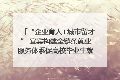 “企业育人+城市留才” 宜宾构建全链条就业服务体系促高校毕业生就业｜您牵挂的四川