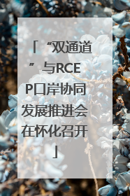 “双通道”与RCEP口岸协同发展推进会在怀化召开