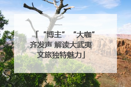 “博主”“大咖”齐发声 解读大武夷文旅独特魅力