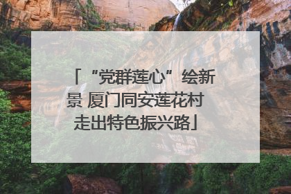 “党群莲心”绘新景 厦门同安莲花村走出特色振兴路
