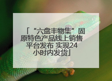 “六盘丰物集”固原特色产品线上销售平台发布 实现24小时内发货