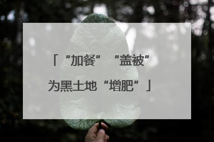 “加餐”“盖被” 为黑土地“增肥”