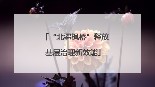 “北疆枫桥”释放基层治理新效能