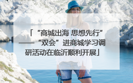 “商城出海 思想先行”——“双会”进商城学习调研活动在临沂顺利开展