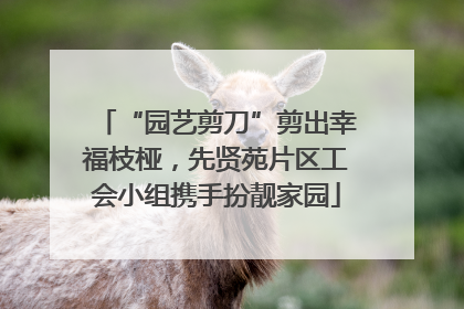 “园艺剪刀”剪出幸福枝桠，先贤苑片区工会小组携手扮靓家园