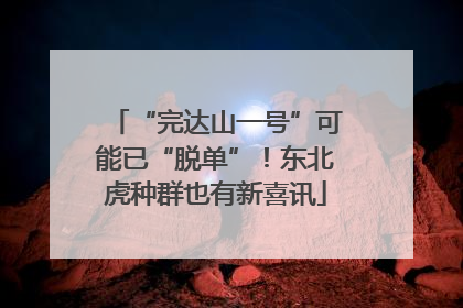 “完达山一号”可能已“脱单”！东北虎种群也有新喜讯