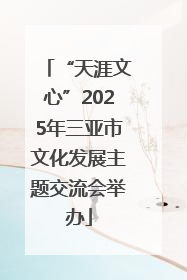 “天涯文心”2025年三亚市文化发展主题交流会举办