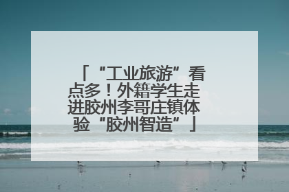 “工业旅游”看点多！外籍学生走进胶州李哥庄镇体验“胶州智造”