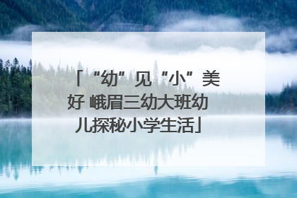 “幼”见“小”美好 峨眉三幼大班幼儿探秘小学生活