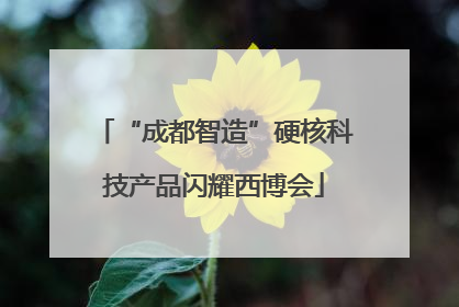 “成都智造”硬核科技产品闪耀西博会