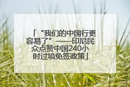 “我们的中国行更容易了”——印尼民众点赞中国240小时过境免签政策