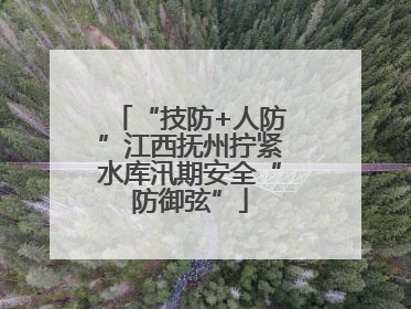 “技防+人防”江西抚州拧紧水库汛期安全“防御弦”