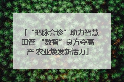 “把脉会诊”助力智慧田管 “数智”良方夺高产 农业焕发新活力