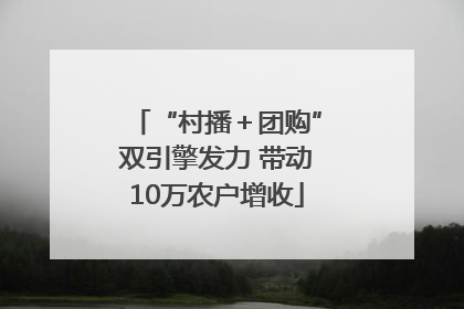 “村播＋团购”双引擎发力 带动10万农户增收