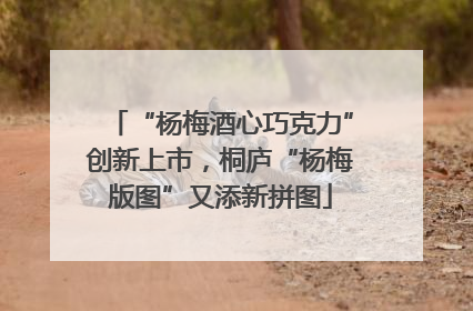 “杨梅酒心巧克力”创新上市，桐庐“杨梅版图”又添新拼图