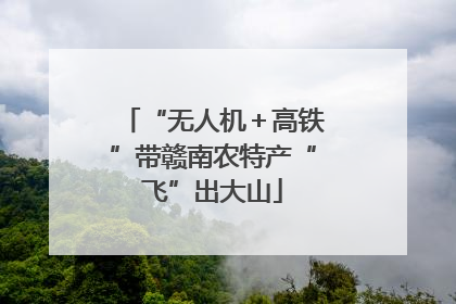 “无人机＋高铁”带赣南农特产“飞”出大山