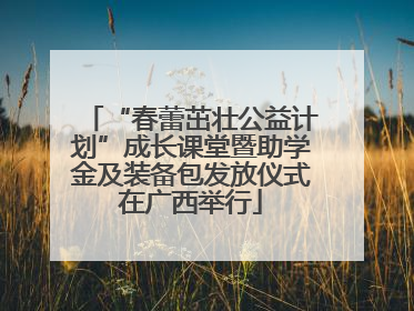 “春蕾茁壮公益计划”成长课堂暨助学金及装备包发放仪式在广西举行