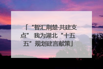“智汇荆楚·共建支点” 我为湖北“十五五”规划建言献策