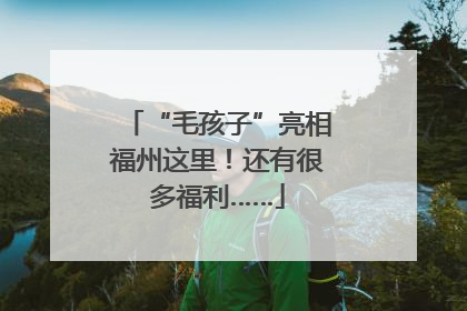 “毛孩子”亮相福州这里！还有很多福利……