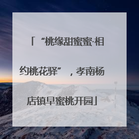 “桃缘甜蜜蜜·相约桃花驿”，孝南杨店镇早蜜桃开园
