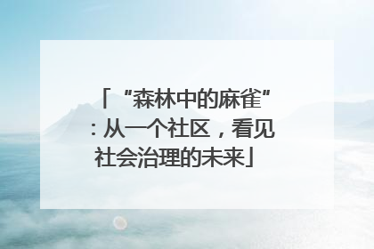 “森林中的麻雀”：从一个社区，看见社会治理的未来
