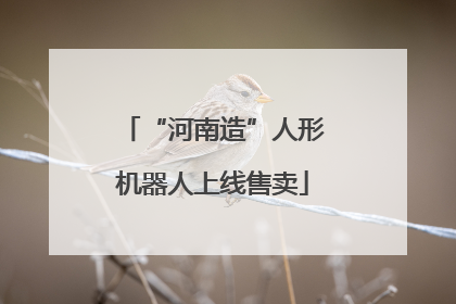 “河南造”人形机器人上线售卖