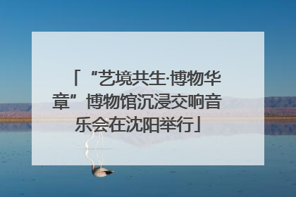 “艺境共生·博物华章”博物馆沉浸交响音乐会在沈阳举行