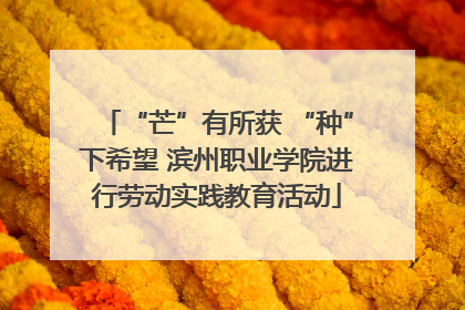 “芒”有所获 “种”下希望 滨州职业学院进行劳动实践教育活动