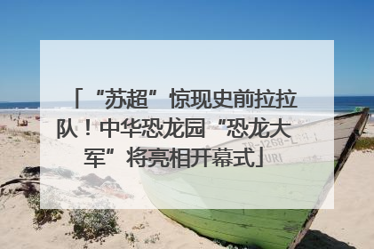 “苏超”惊现史前拉拉队！中华恐龙园“恐龙大军”将亮相开幕式